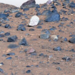 NASA twierdzi, że na Marsie znaleziono prawdopodobne ślady życia