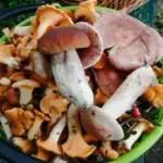 Uważaj na grzyby: kto absolutnie nie powinien ich jeść nawet w najlepszej restauracji