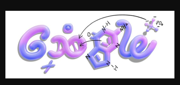 Google is celebrating the start of the 2025-26 school year with a DNA themed Doodle on Wednesday. Courtesy of Google