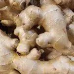 Jak imbir wpływa na ciśnienie krwi: dlaczego osoby z niskim ciśnieniem krwi powinny jeść go ostrożnie, natomiast osoby z wysokim ciśnieniem krwi powinny jeść go w większych ilościach.