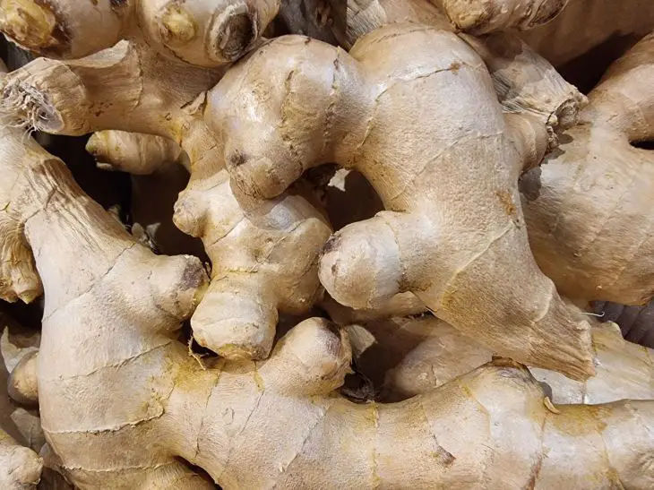 Imbir dawno przestał być egzotycznym składnikiem i stał się podstawą naszej diety. Dodaje się go do herbaty, używa w marynatach, a nawet w deserach. Jak imbir wpływa na ciśnienie krwi: dlaczego osoby z niskim ciśnieniem krwi powinny jeść go ostrożnie, natomiast osoby z wysokim ciśnieniem krwi powinny jeść go w większych ilościach. - INFBusiness