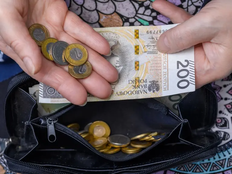 Dług emerytalny – warunki umorzenia, wyłączenia i przewodnik postępowania - INFBusiness