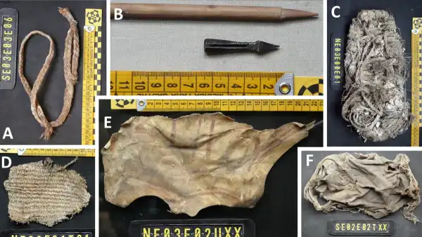 Archeolodzy odkryli sandał z XIII wieku w gnieździe sępa brodatego w Hiszpanii - INFBusiness