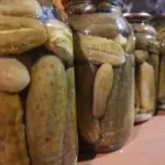 Dlaczego nie należy pić mleka z ogórkami kiszonymi: obalamy mit i prawdziwe konsekwencje dla trawienia