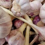 Czosnek na noc: mój eksperyment i wnioski