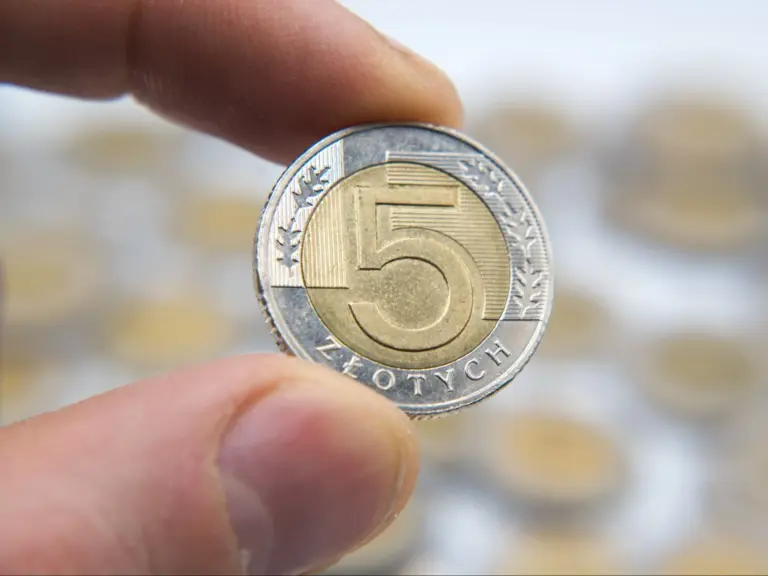 "Odkryj Polskę" seria: świeża 5-złotowa moneta w dystrybucji, nakład jedynie 1 milion. - INFBusiness