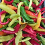 Dlaczego jedzenie ostrych papryczek sprzyja długowieczności: japońskie badanie, które zmienia nasze podejście do przypraw