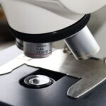 Od początku roku w Hongkongu zaobserwowano wzrost liczby zachorowań na gorączkę chikungunya, co skłoniło władze do wszczęcia alarmu.