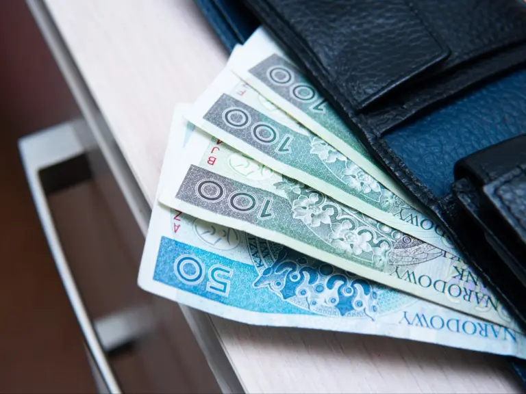 Polska: Zarobki Pośrodku. Ponad nią - połowa pracowników. - INFBusiness