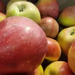 Co się stanie, jeśli będziesz jeść jedno jabłko dziennie przez miesiąc: zmiany, które zauważysz już po tygodniu