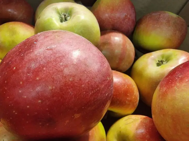 Co się stanie, jeśli będziesz jeść jedno jabłko dziennie przez miesiąc: zmiany, które zauważysz już po tygodniu яблоки