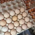 Ile jajek dziennie można jeść bez szkody dla wątroby? Dietetyk ujawnił tę liczbę.