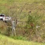 Samica szympansa uciekła ze swojego wybiegu w zoo w Indianapolis i bezpiecznie wróciła do domu