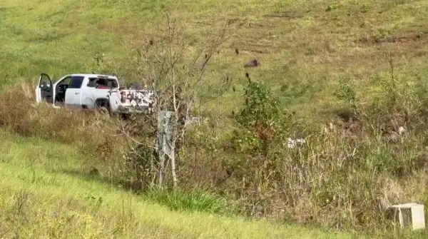 Wideo: „Agresywne” małpy badawcze uciekają po wypadku ciężarówki w Missisipi Samica szympansa uciekła ze swojego wybiegu w zoo w Indianapolis i bezpiecznie wróciła do domu - INFBusiness