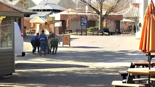 Wideo: „Agresywne” małpy badawcze uciekają po wypadku ciężarówki w Missisipi Samica szympansa uciekła ze swojego wybiegu w zoo w Indianapolis i bezpiecznie wróciła do domu - INFBusiness