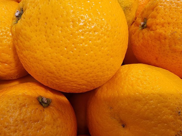 Wiele osób rozpoczyna poranek od pomarańczy lub szklanki świeżo wyciśniętego soku, uważając to za symbol zdrowego odżywiania. Dietetycy coraz częściej ostrzegają jednak, że spożywanie cytrusów na pusty żołądek może przynieść więcej szkody niż pożytku. Dlaczego dietetycy są wściekli: jesz ten owoc na śniadanie i się zatruwasz - INFBusiness