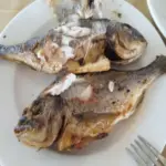 Który rodzaj ryby obniża poziom cholesterolu lepiej niż statyny: Kardiolog wskazał opcję budżetową.