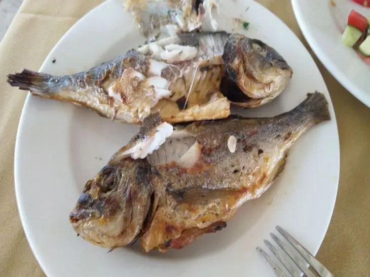 Kardiolodzy od dawna zachwalają dobroczynny wpływ ryb na serce i naczynia krwionośne. Jednak ostatnie badania wykazały, że niektóre gatunki ryb są skuteczniejsze niż leki. Który rodzaj ryby obniża poziom cholesterolu lepiej niż statyny: Kardiolog wskazał opcję budżetową. - INFBusiness