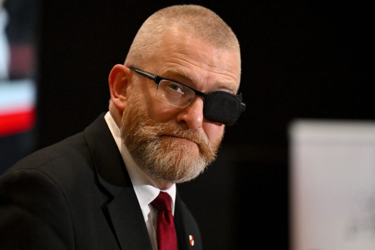 CBOS Poll: Braun's Party Ranks Fourth in Parliament - INFBusiness