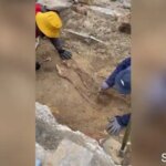 Archeolodzy odkryli 2000-letnią zagadkę morderstwa w brytyjskim programie telewizyjnym