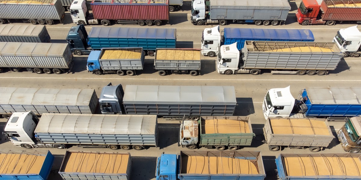 Ciężarówki wypełnione zbożem. Zdjęcie ilustracyjne