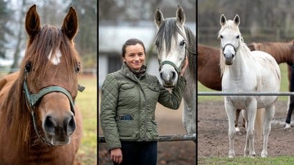 PiS miał zdewastować "dumę Polski". Byliśmy na miejscu. "Feniks w popiele po szyję"