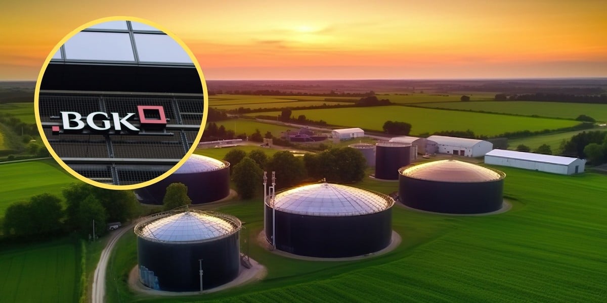 Zgodnie z ekspertyzą Banku Gospodarstwa Krajowego, luka inwestycyjna w polskiej energetyce może dotyczyć między innymi instalacji biogazu oraz biometanu