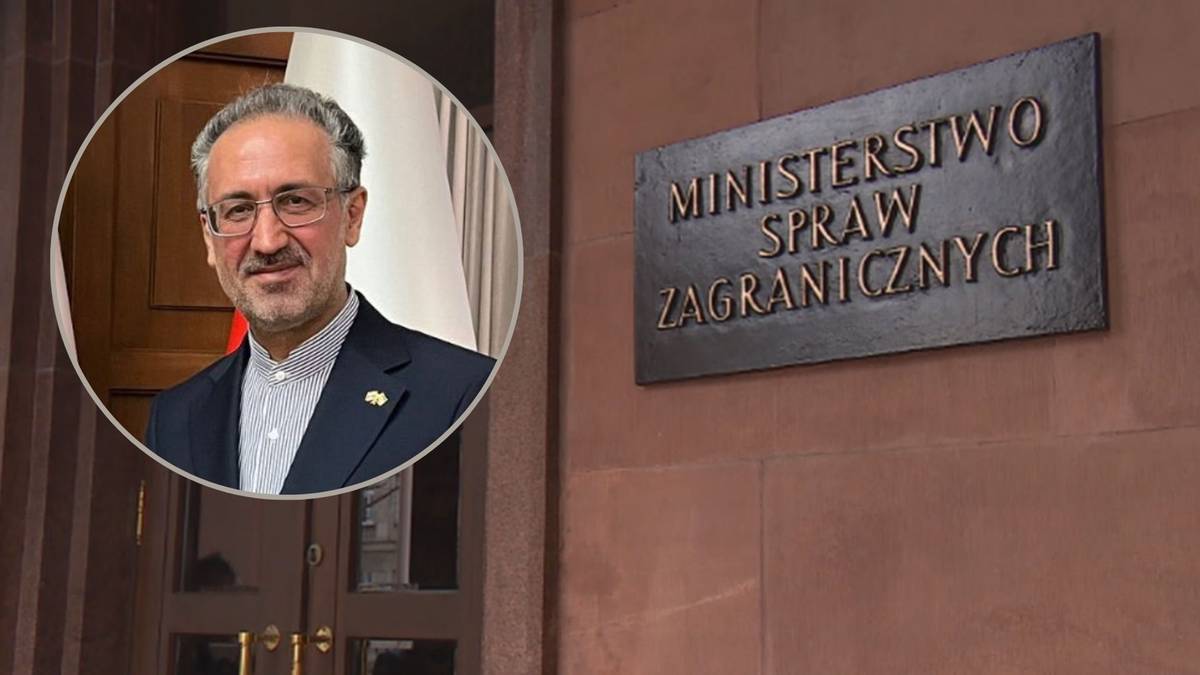 Portret ambasadora Iranu Eisy Kameli.