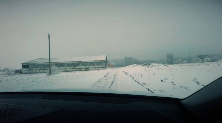 Uświęcona stajnia tarczą przed egzekutorem. Dłużnik omija spłatę zadłużenia. 5