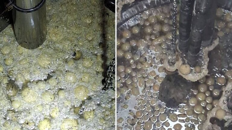 Tuziny donutów wylały się z odpływu. Zablokowały rury, wybuchł skandal. 3