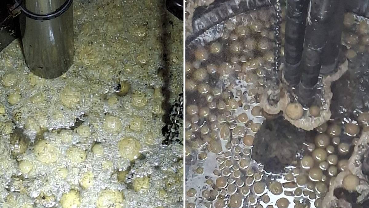 Dwa zbliżenia na zawartość zbiornika z oczyszczalni ściek&oacute;w, ukazujące spienioną masę i grudki.