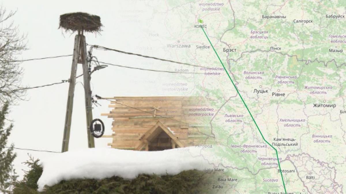 Komu obcy przywódca cieszy się największym zaufaniem Polaków? Najnowsze badanie. 2