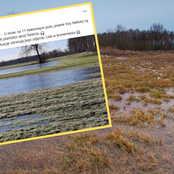 Polskie życie 62 Roztopy powodują powodzie na polach. Farmerzy są przygnębieni. Boją się…