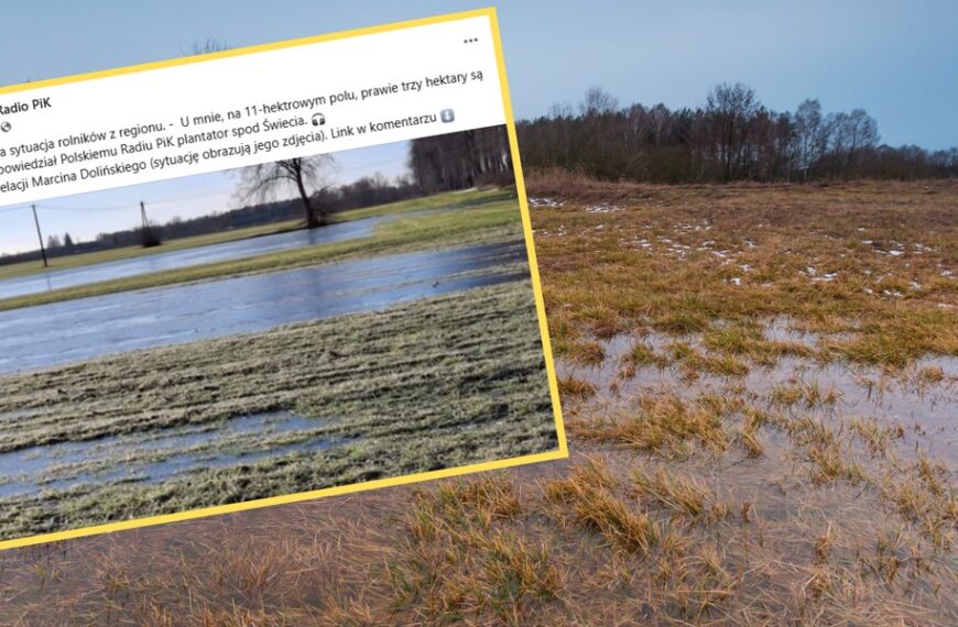 Polskie życie 38 Roztopy powodują powodzie na polach. Farmerzy są przygnębieni. Boją się katastrofy.