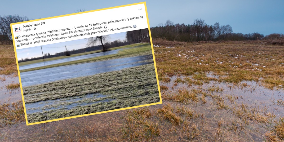 Zalane pola rolników po odwilży