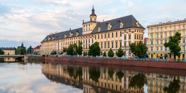 Polscy rektorzy z wysokimi pensjami. Sprawdź, jakie są ich miesięczne zarobki. 8