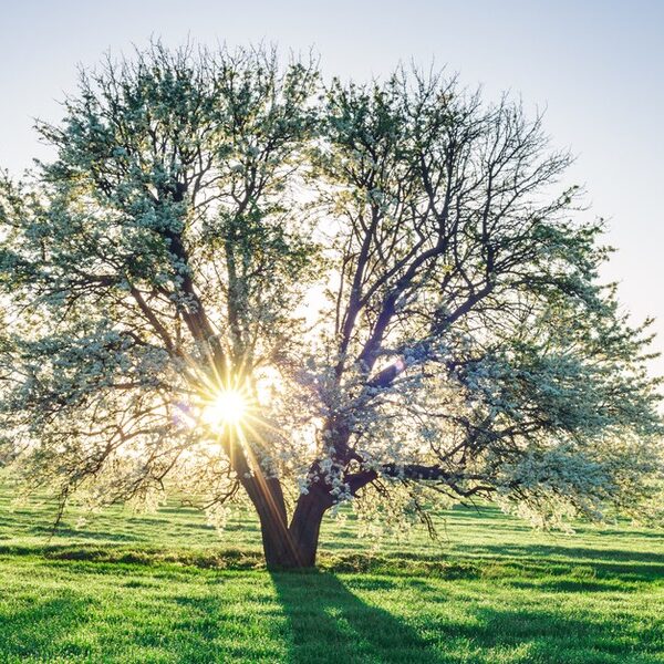 Polskie życie 56 Ustawa o przyspieszeniu przemysłu wstrzymana. Europejska produkcja wypatruje impulsu.