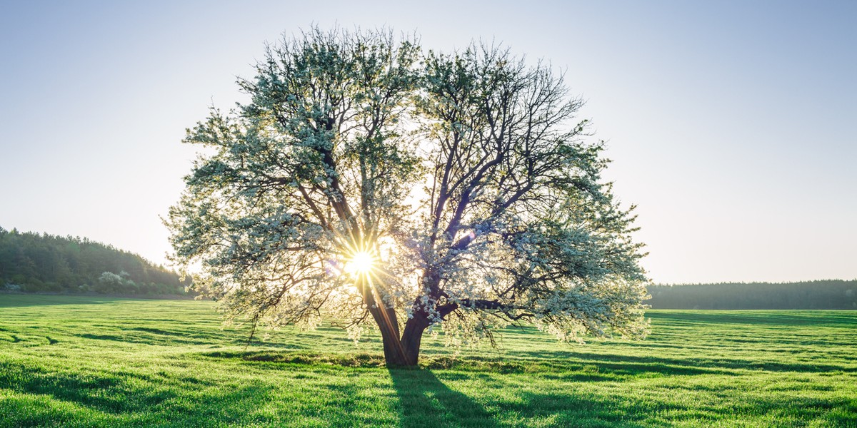 Dekarbonizacja traci na znaczeniu