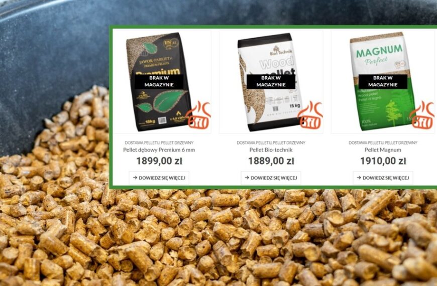 Mróz sparaliżował polski rynek pelletu. Koszty rosną lawinowo, deficyt surowca.
