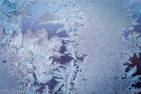 Dzień Timofeusza, Timofey Półzima