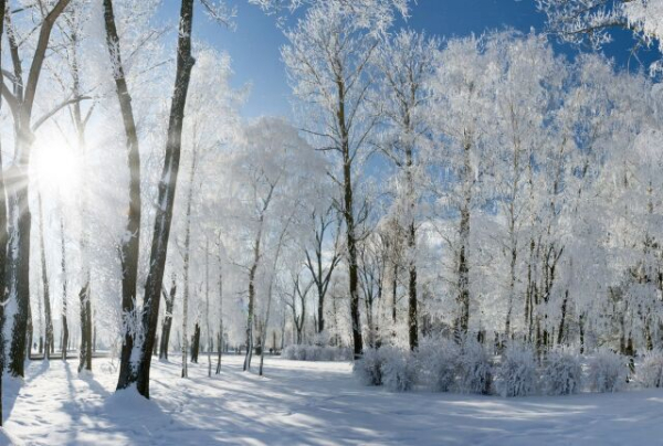 Polskie życie 68 Kirill Vesnoukazchik