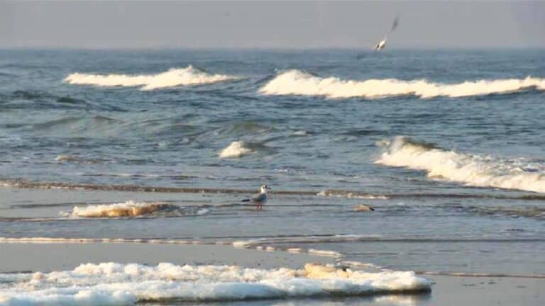Alarmujący trend na Bałtyku. Władze analizują liczne incydenty. 9
