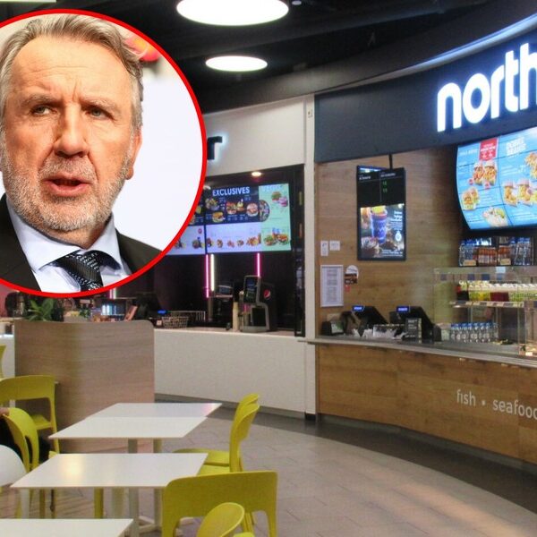 Upadek North Fish: Co zawiodło?