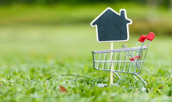 Gdzie zamieścić ofertę sprzedaży parceli?