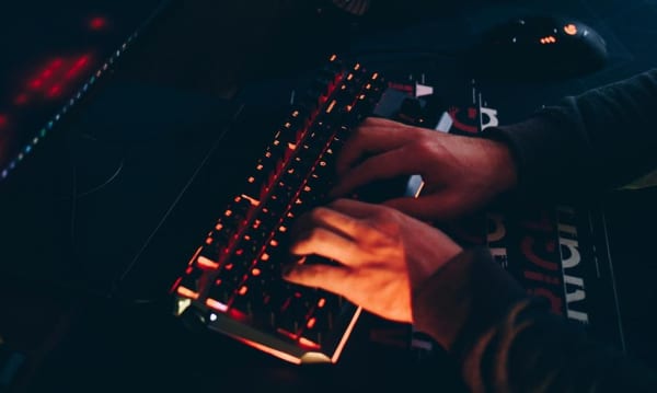 Oddziały botów napadają na światowe platformy. Dwudziestoletni mieszkaniec Lublina aresztowany.