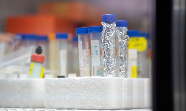 Polskie życie 48 Polski biotech triumfuje w USA. FDA zatwierdziła innowacyjne rozwiązanie.