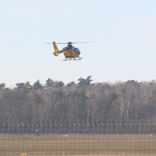 Śmiertelny upadek przy zbiorze szyszek. Zginął człowiek.