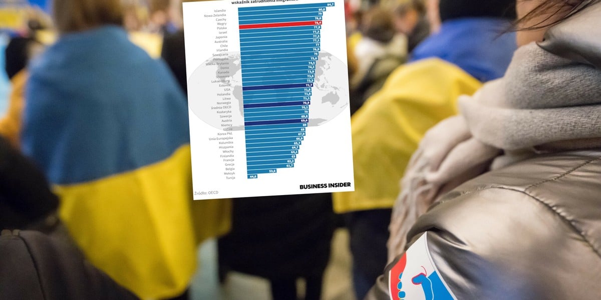 Ukraińcy najlepiej na rynku pracy czują się w Polsce. Jeśli chodzi o zatrudnienie wszystkich imigrantów, nie tylko z Ukrainy, Polska jest na czwartym miejscu w świecie
