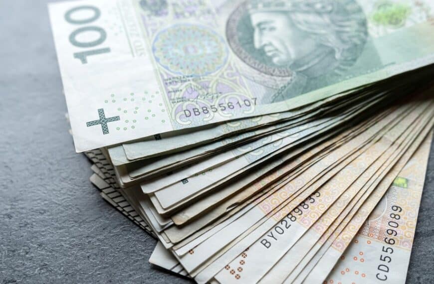 Polskie przedsiębiorstwa wstrzemięźliwe w kwestii inwestycji. Analitycy PIE wyjaśniają przyczyny.