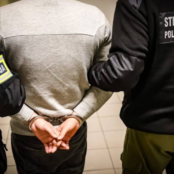 Zakrojona na szeroką skalę operacja. Ujęto 140 imigrantów bez dokumentów.